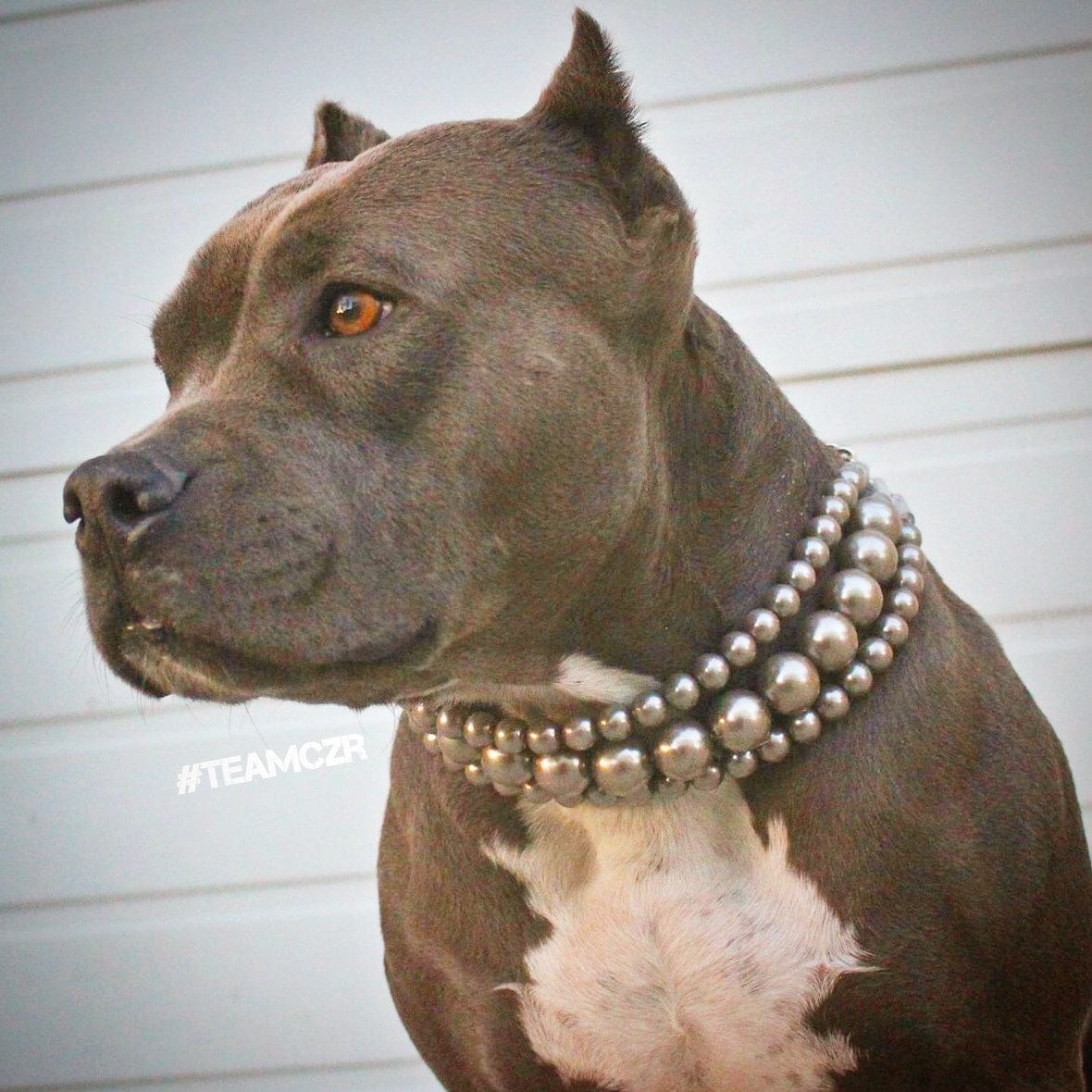 Beaded Dog Collar Necklace KUDES Chunky Pearl (Beads 20mm),Strong