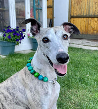 Load image into Gallery viewer, Surf Bead Collar