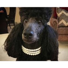 Load image into Gallery viewer, Ivory Triple Strand Pearl Collar