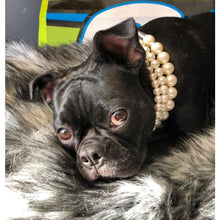 Load image into Gallery viewer, The Destiny ~ Pearl Dog Collar