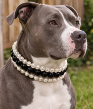 Load image into Gallery viewer, The Via in Black and Ivory Pearls