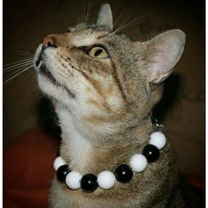 Black and White Bead Collar