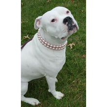 Load image into Gallery viewer, Double Strand Chunky Pink Pearl Collar