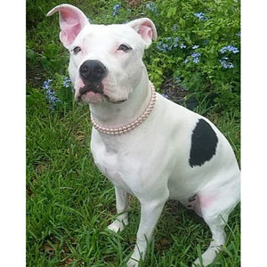 Double Strand Pink Pearl Collar