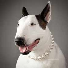 Load image into Gallery viewer, Jumbo Chunky Ivory Pearl Collar