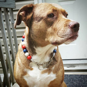 Red White and Blue Bead Collar
