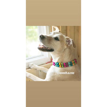 Load image into Gallery viewer, Roo’s Unicorn Bead Collar