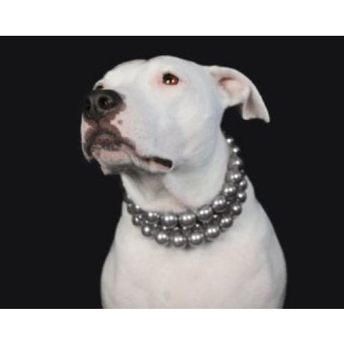 Beadie Babiez The Beebs in Charcoal Pearl Dog Collar