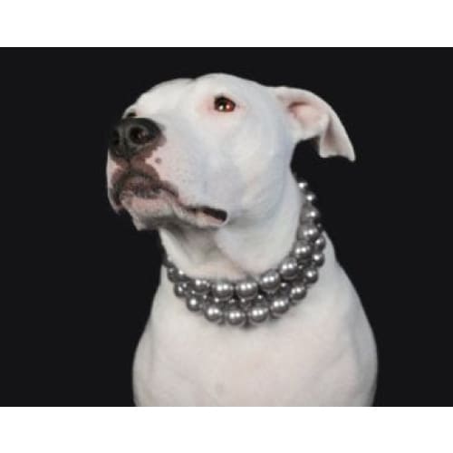 The Beebs in Charcoal ~ Pearl Dog Collar