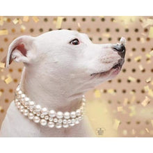 Load image into Gallery viewer, The Beebs in Ivory ~ Pearl Dog Collar