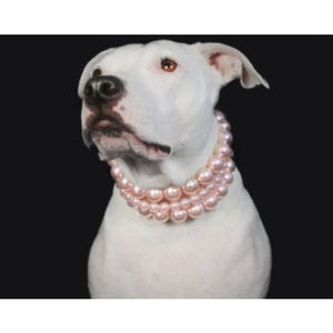 The Beebs in Pink ~ Pearl Dog Collar