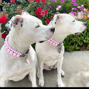 The Via in Blush Pink Acrylic beads