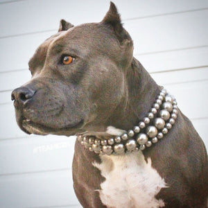 The Via in Charcoal ~ Pearl Dog Collar