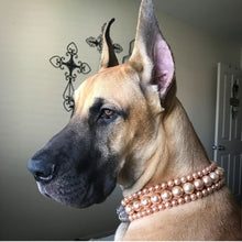 Load image into Gallery viewer, The Via in Gold ~ Pearl Dog Collar