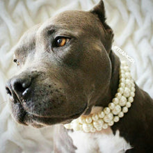 Load image into Gallery viewer, The Via in Ivory ~ Pearl Dog Collar