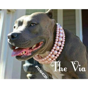 The Via in Pink ~ Pearl Dog Collar