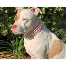 Load image into Gallery viewer, The Via in Pink ~ Pearl Dog Collar